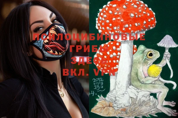 PSILOCYBIN Абдулино