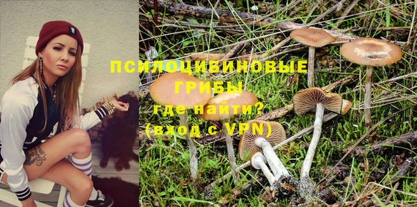 PSILOCYBIN Абдулино