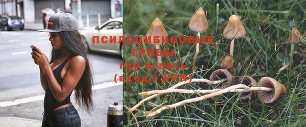 мескалин Абинск