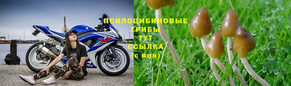 бутират Алексин