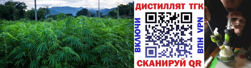 ТГК гашишное масло  Ржев 