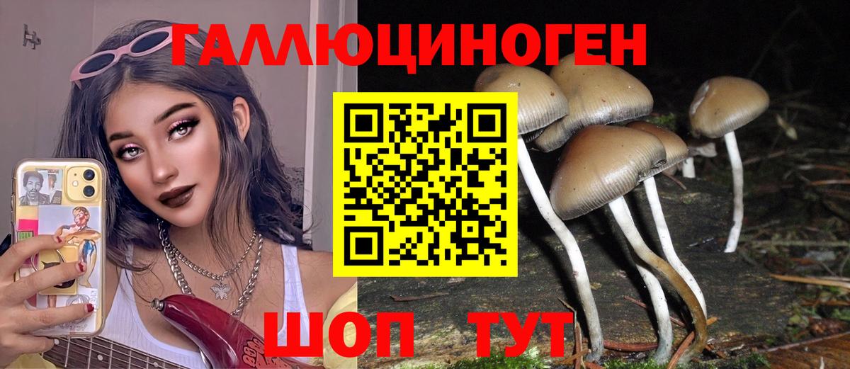 Ржев  Псилоцибиновые грибы мухоморы  Псилоцибиновые грибы прущие грибы  Вход с VPN 