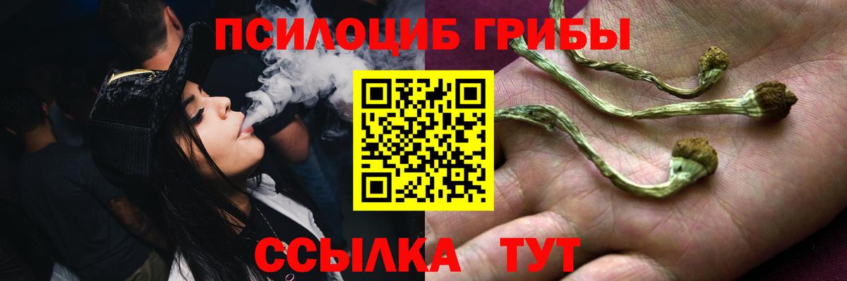Галлюциногенные грибы Magic Shrooms Ржев
