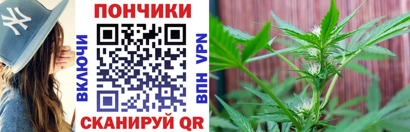 Бошки Шишки конопля Ржев